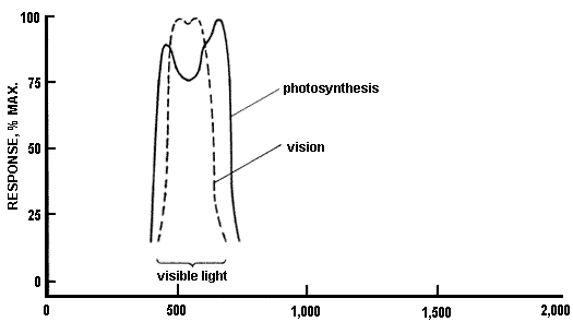 figure 1-12b