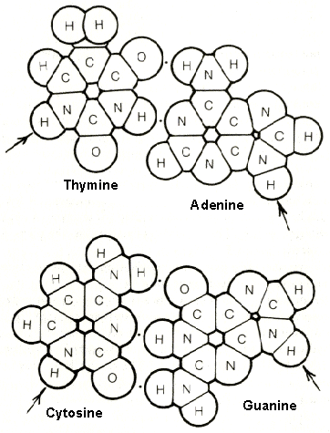 figure 4-5